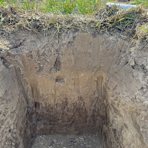 17 Feldtag No-Till Day.jpg © BWSB