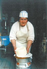 Arbeiten auf Alm.jpg © Archiv