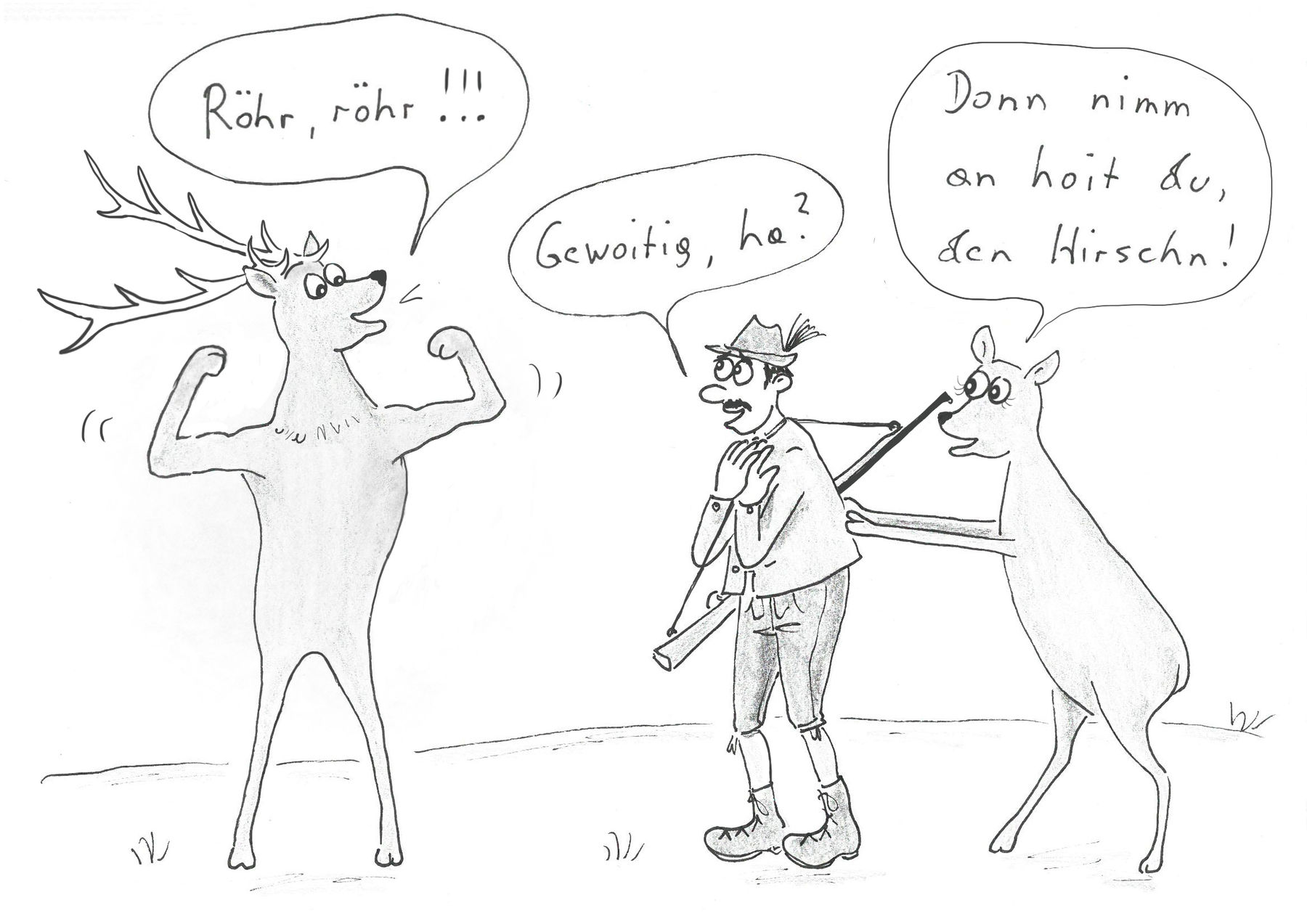 Hirschbrunft.jpg © Mitterwallner