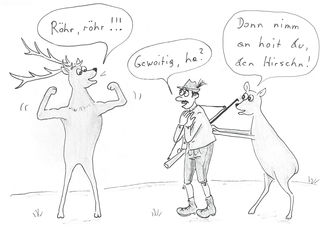 Hirschbrunft © Mitterwallner