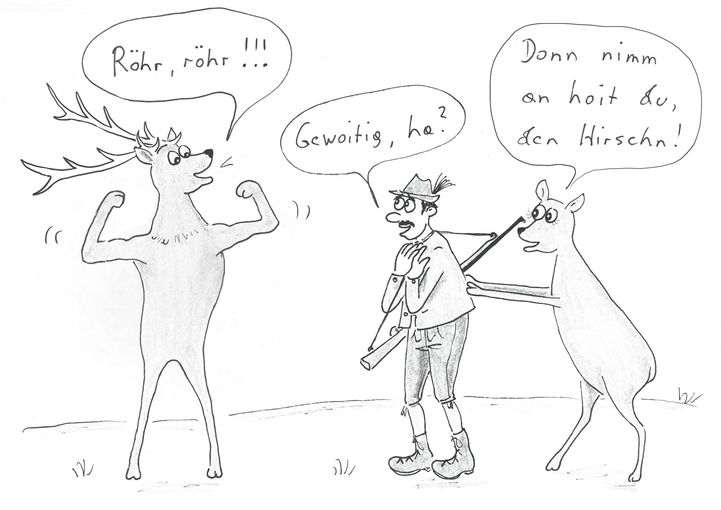 Hirschbrunft.jpg © Mitterwallner
