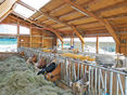 Bambichlgut © Hatheier