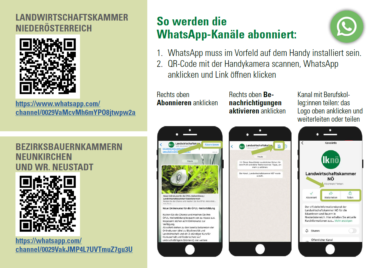 Info WhatsApp Seite 2.png © Archiv