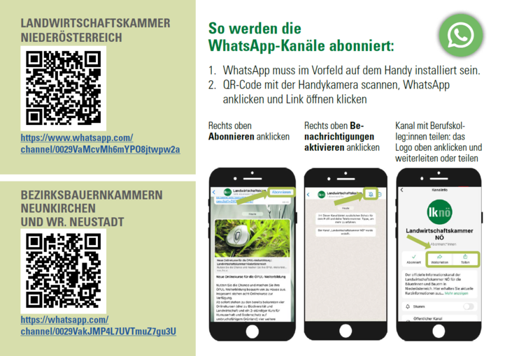 Info WhatsApp Seite 2.png © Archiv