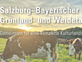 Weidetag 2026 © Archiv