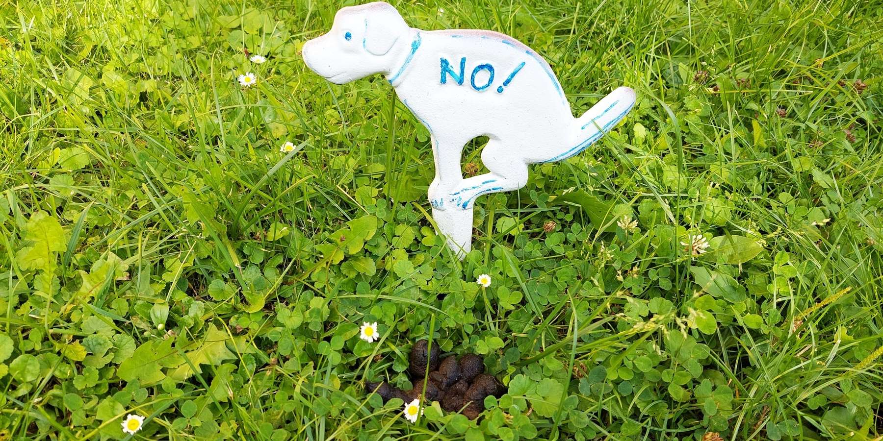 Hundekot_Hinweisschild.jpg © BWSB/Wallner