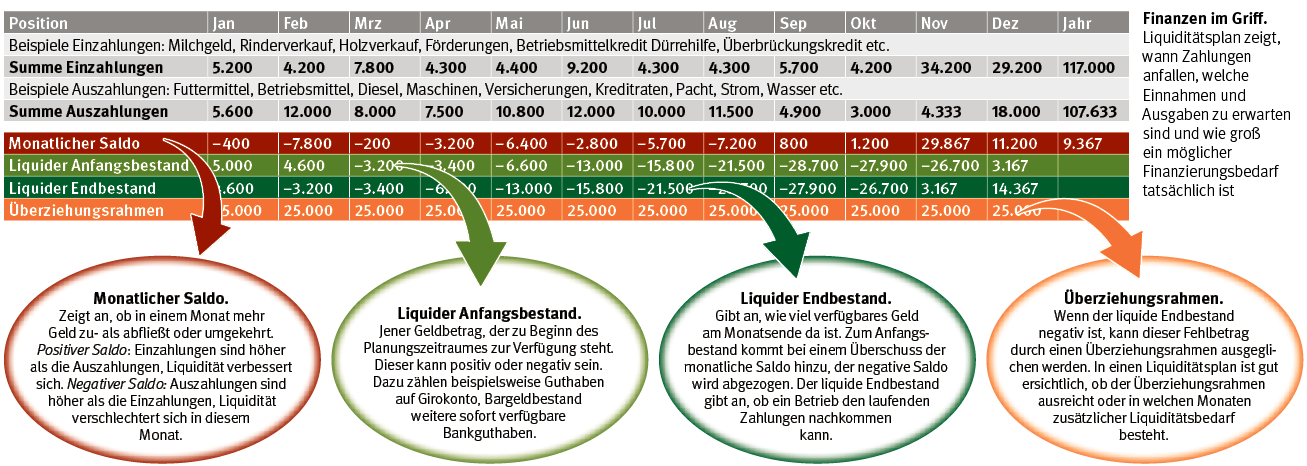 Liquiditätsplan.png © LK