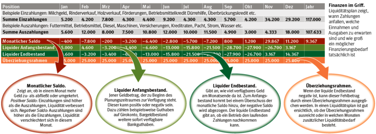 Liquiditätsplan.png © LK