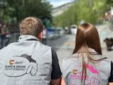 © LK Kärnten/Penker
