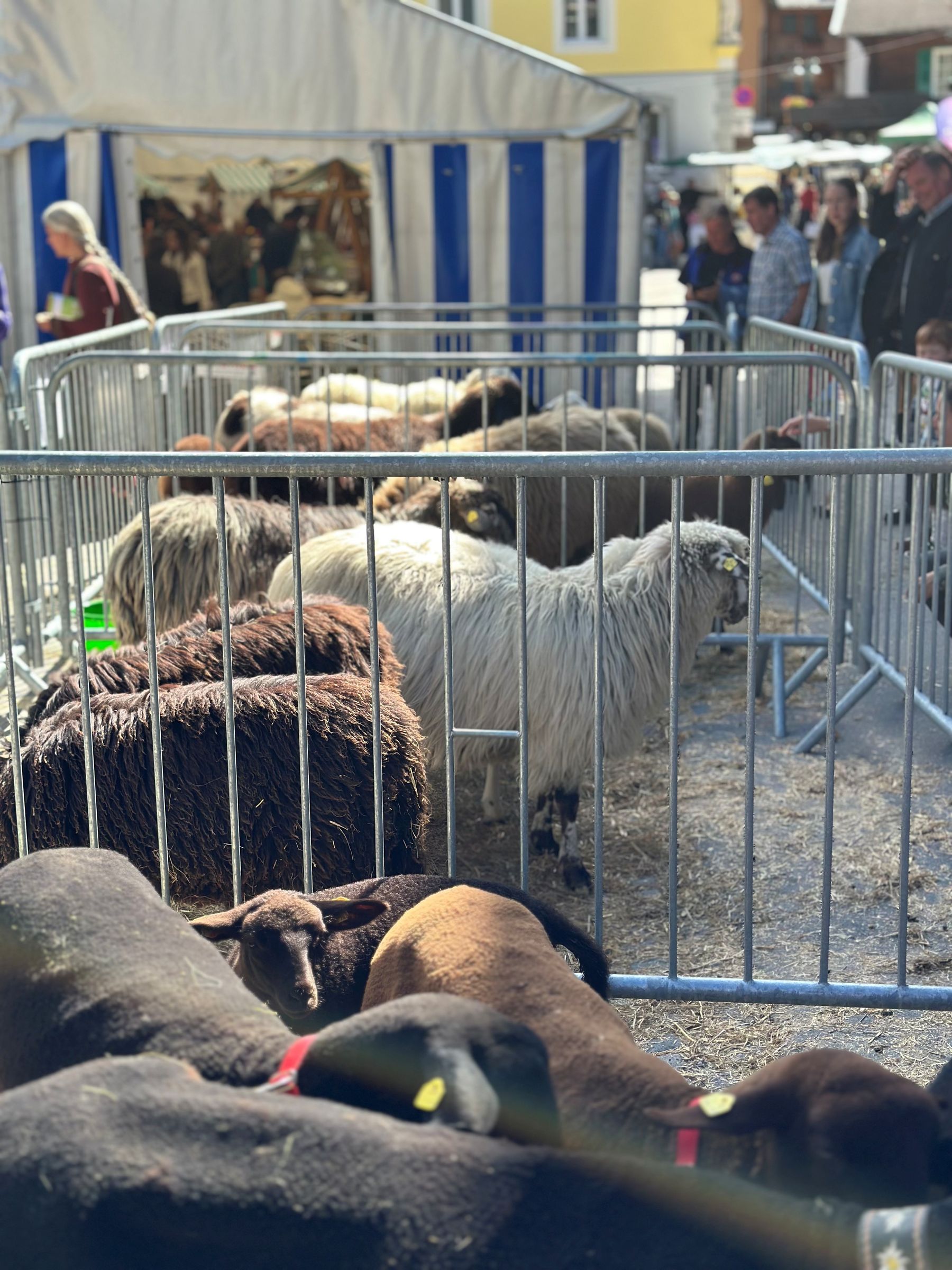 © LK Kärnten/Penker