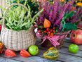 AdobeStock_44971689 © AdobeStock