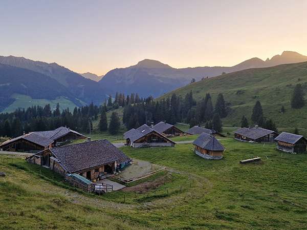 Sennen auf der Alpe Steris.jpg © LK Vbg.