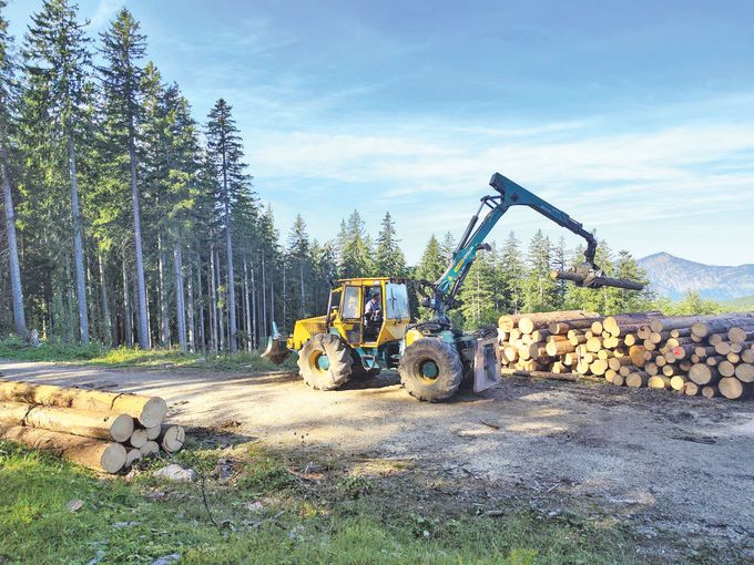 Treindlbauer Fuschl am See.jpg © Etter