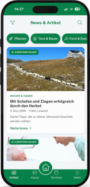Mockup Artikel.png © LK Kärnten