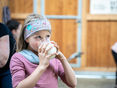 Schulmilch_Gahleitner-736 © Gahleitner