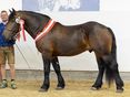 Bild für Anreißer Titelseite - bitte Person links außen wegschneiden © Jilka Thalker/ Animalklick