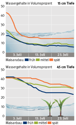 Grafik Wassergehalte bei Maisanbau in Hofstätten .png © LK