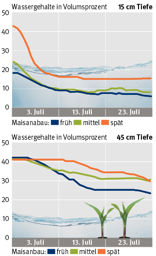 Grafik Wassergehalte bei Maisanbau in Hofstätten .png © LK