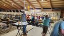 RZV Melk-Nord (3).jpg © BBK Melk RZV Melk-Nord (3).jpg © BBK Melk