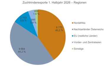 Export-Regionen 1HJ. 2026.png © Rinderzucht Austria