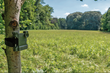 Rekorder für akustisches Monitoring im Nationalpark Donau-Auen..png © oebf/capreolus