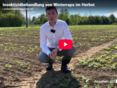 Screenshot Video Insektizidbehandlung von Winterraps im Herbst © Archiv