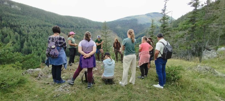 Waldspaziergang  ©&nbsp;Die Bäuerinnen im Bezirk Neunkirchen 