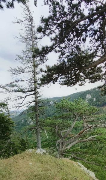 Waldspaziergang  ©&nbsp;Die Bäuerinnen im Bezirk Neunkirchen 