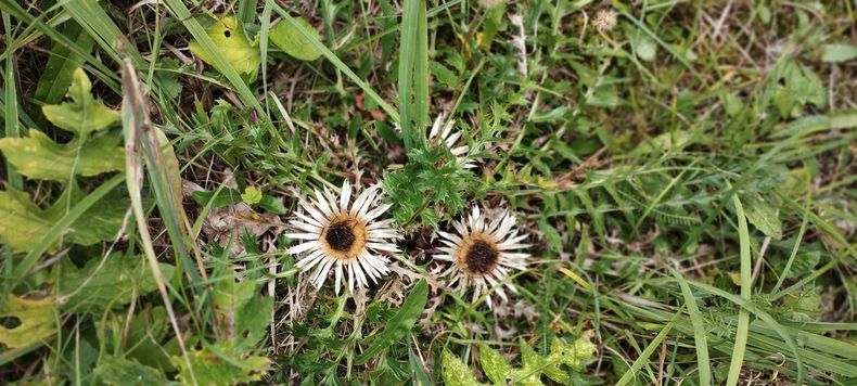 Waldspaziergang  ©&nbsp;Die Bäuerinnen im Bezirk Neunkirchen 