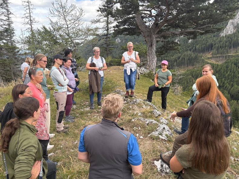 Waldspaziergang  ©&nbsp;Die Bäuerinnen im Bezirk Neunkirchen 