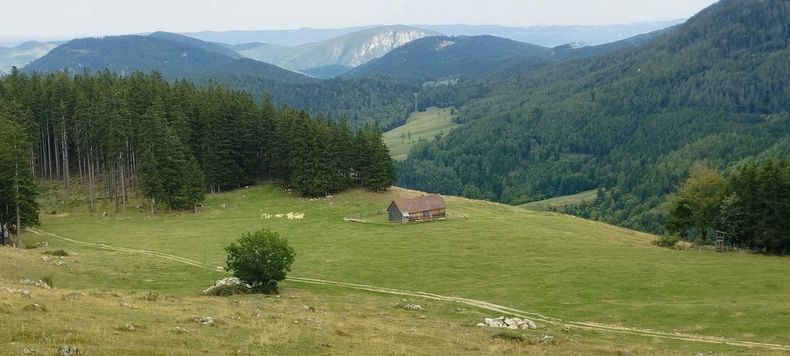Waldspaziergang  ©&nbsp;Die Bäuerinnen im Bezirk Neunkirchen 