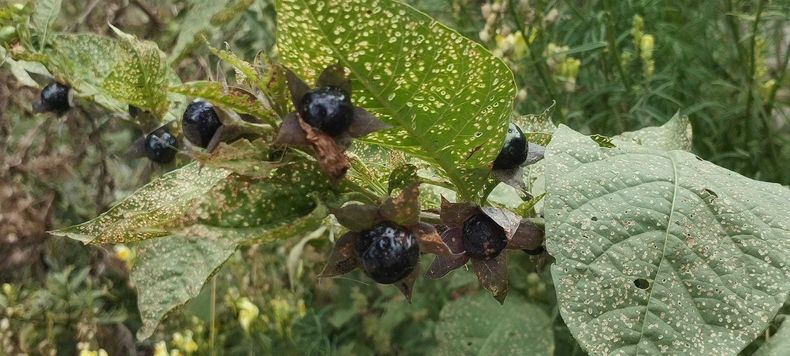 Waldspaziergang  ©&nbsp;Die Bäuerinnen im Bezirk Neunkirchen 