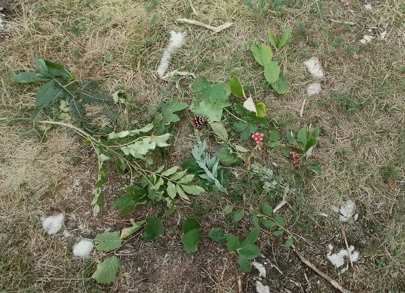 Waldspaziergang  ©&nbsp;Die Bäuerinnen im Bezirk Neunkirchen 