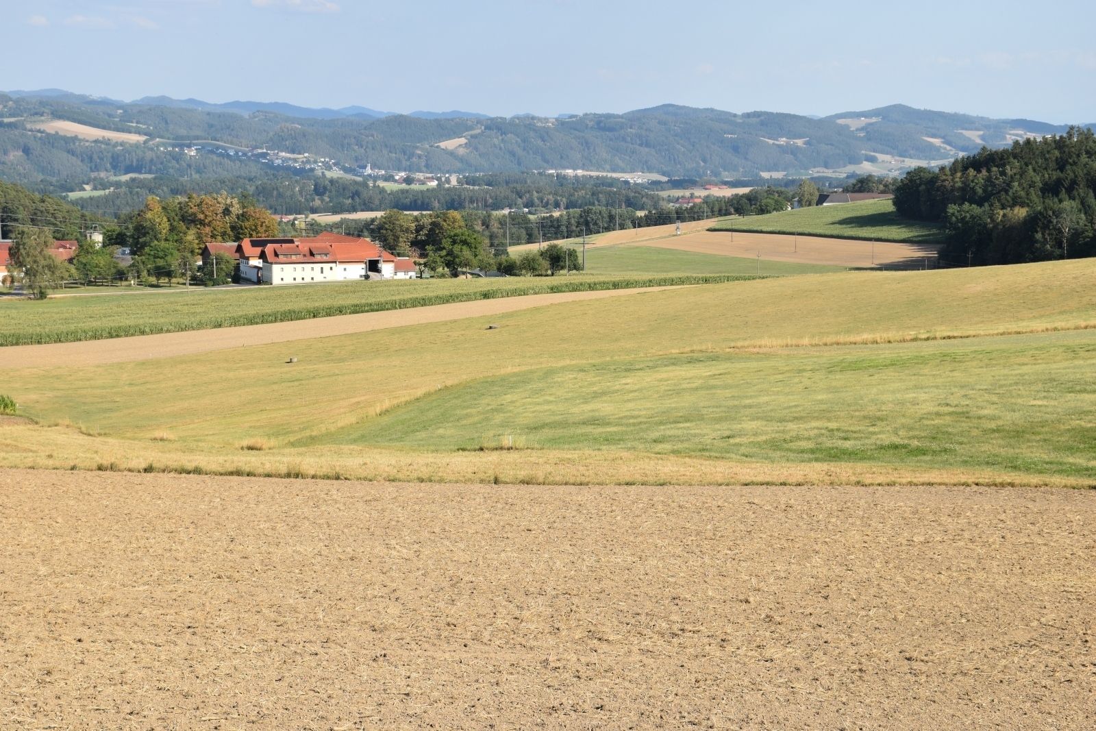Trockenheit_LK OÖ Elke Horner (10).jpg © LK OÖ/Horner