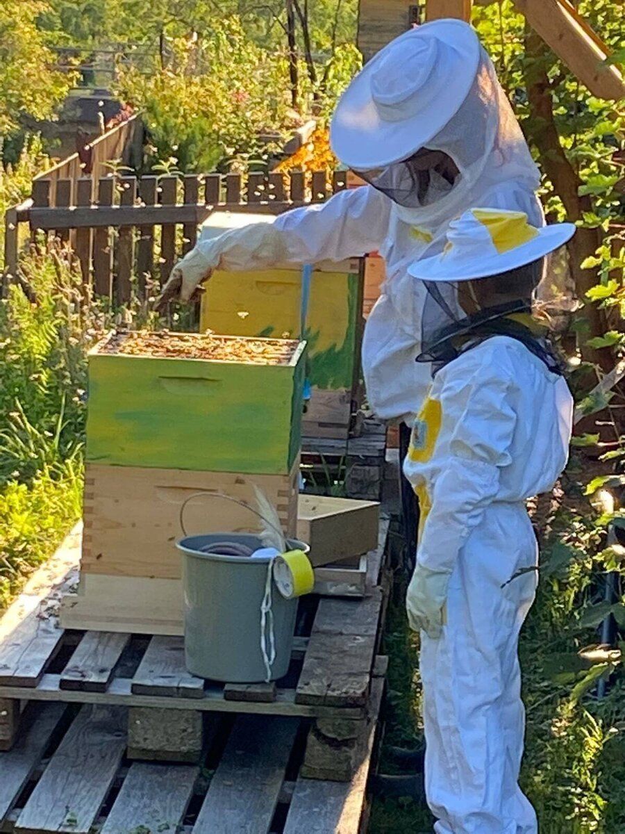 Bild 6_Bienenwelt beim Bachbauer.jpg © privat