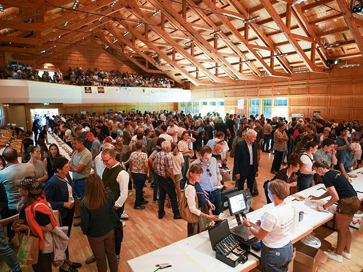 Käseprämierung 2026.jpg © Land Vorarlberg / 7PRO.TV