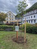 Bild 1 (c) BBK Scheibbs (7).jpg © BBK Scheibbs