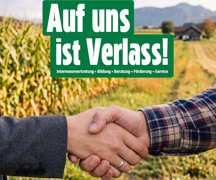leistungsbericht © LK Kärnten