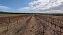 © Daniel Pachinger/LK Burgenland