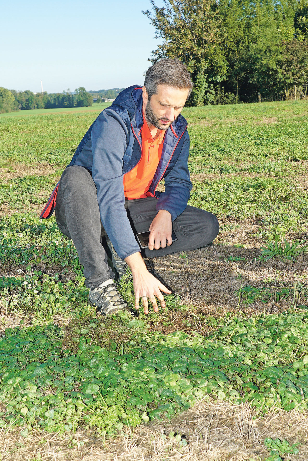 Dürre Nachschau im September.jpg © Hatheier