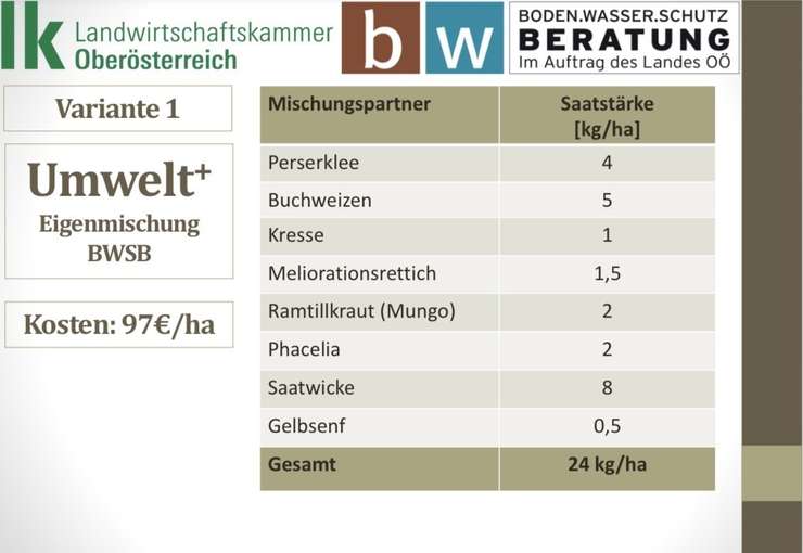 5_Variante 1.jpg © BWSB