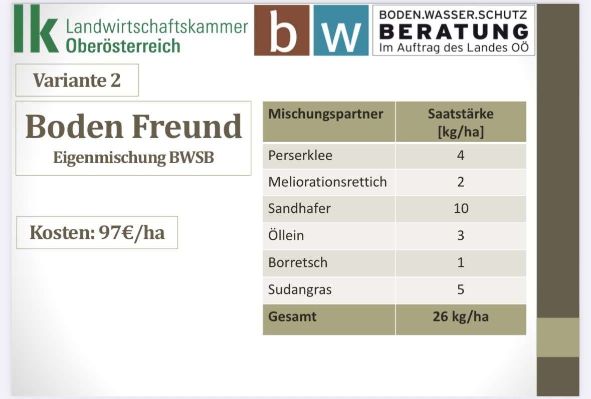 8_Variante 2.jpg © BWSB