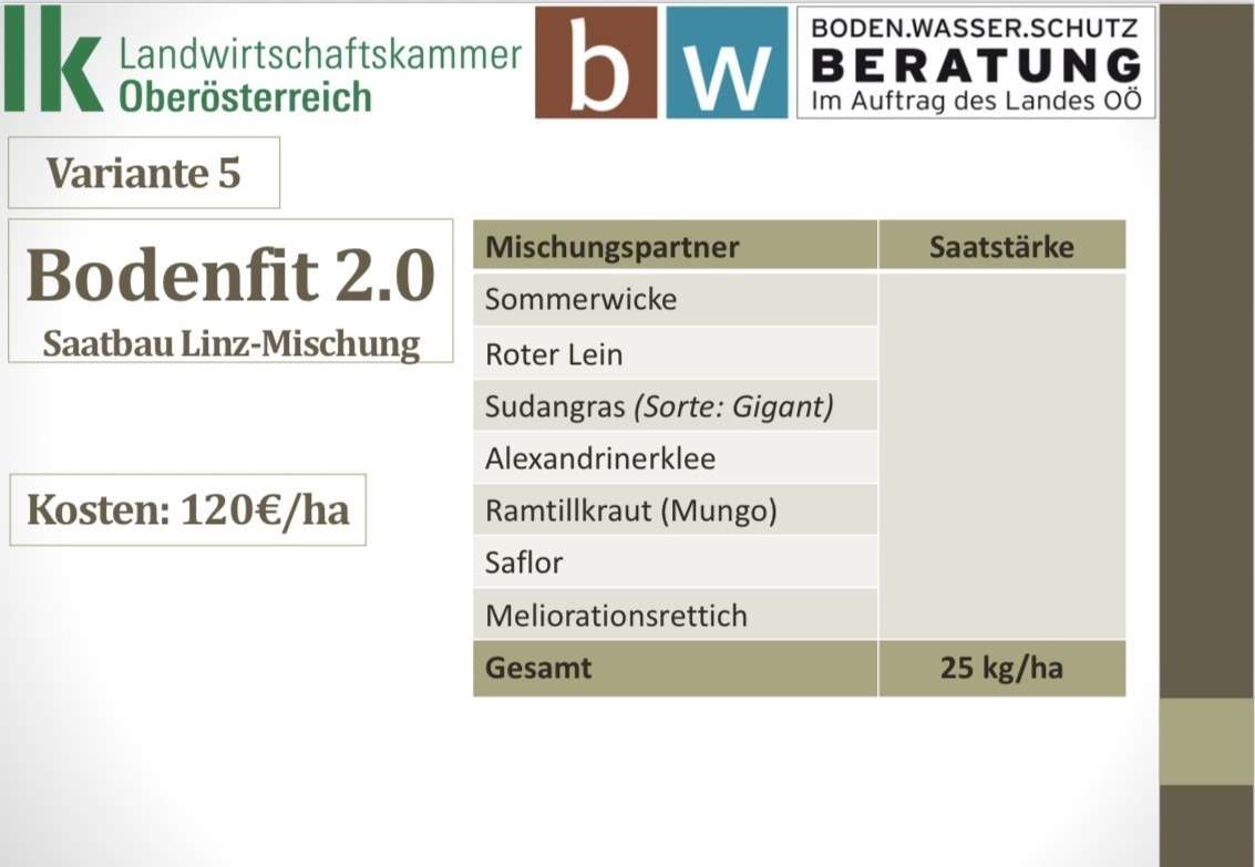16_Variante 5.jpg © BWSB