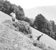 Bruck1.jpg © Archiv