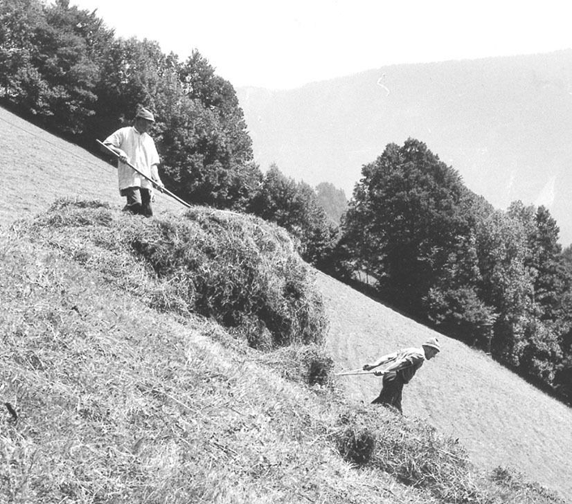 Bruck1.jpg © Archiv