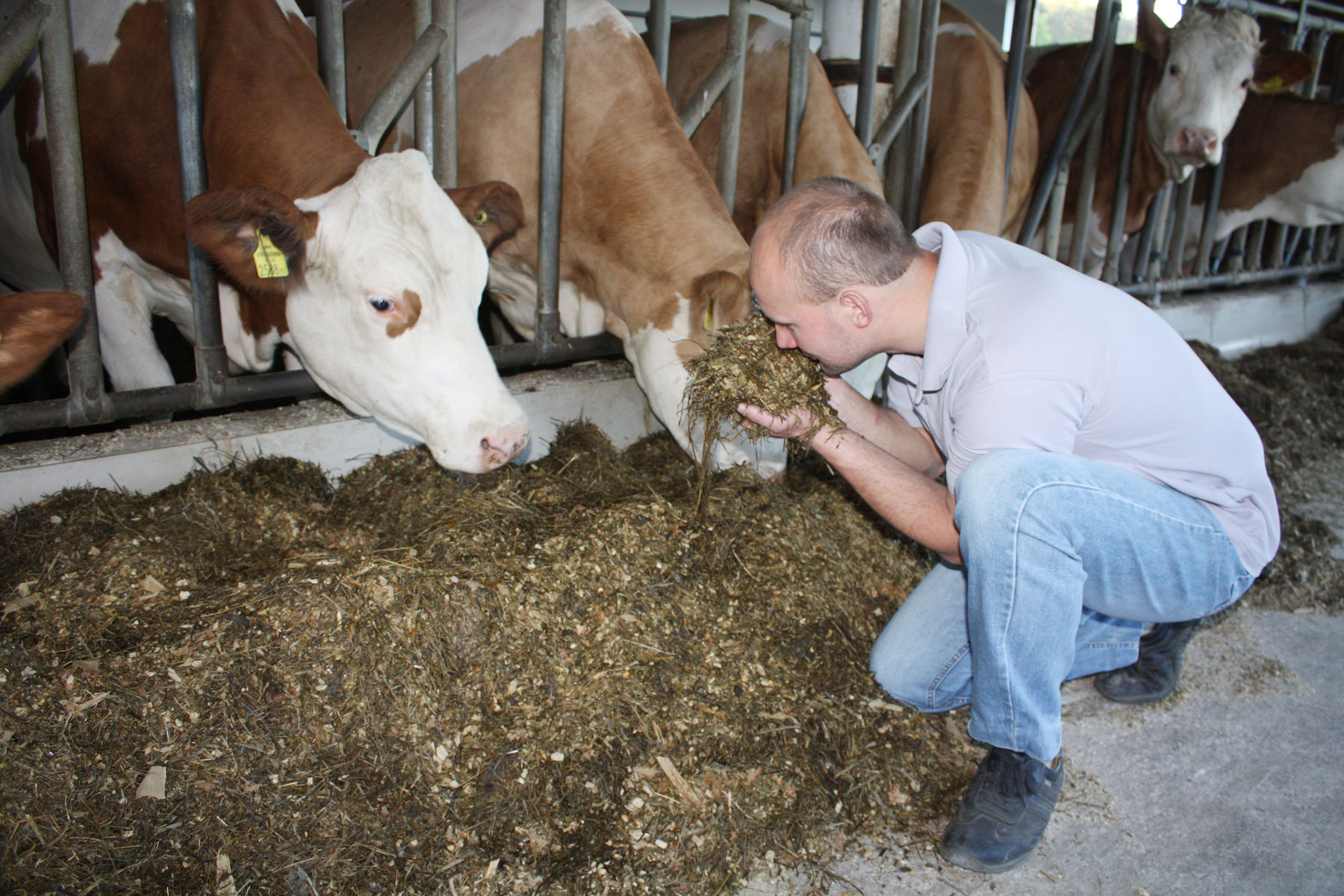 Futter begutachten.jpg © Gerald Stögmüller/LK Niederösterreich