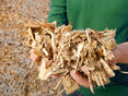 Holzhackschnitzel © Gerhard Seybert