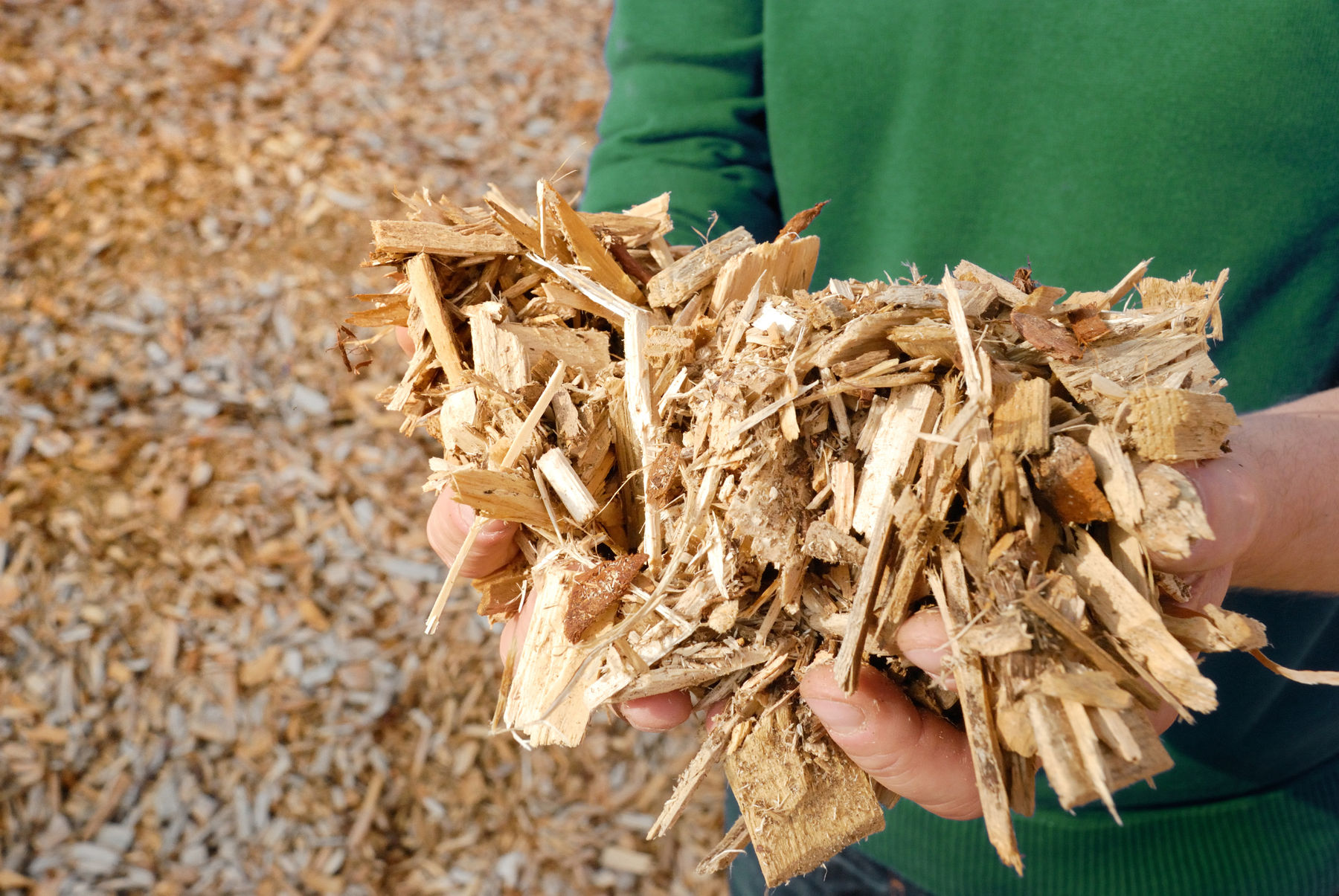 Holzhackschnitzel.jpg © Gerhard Seybert
