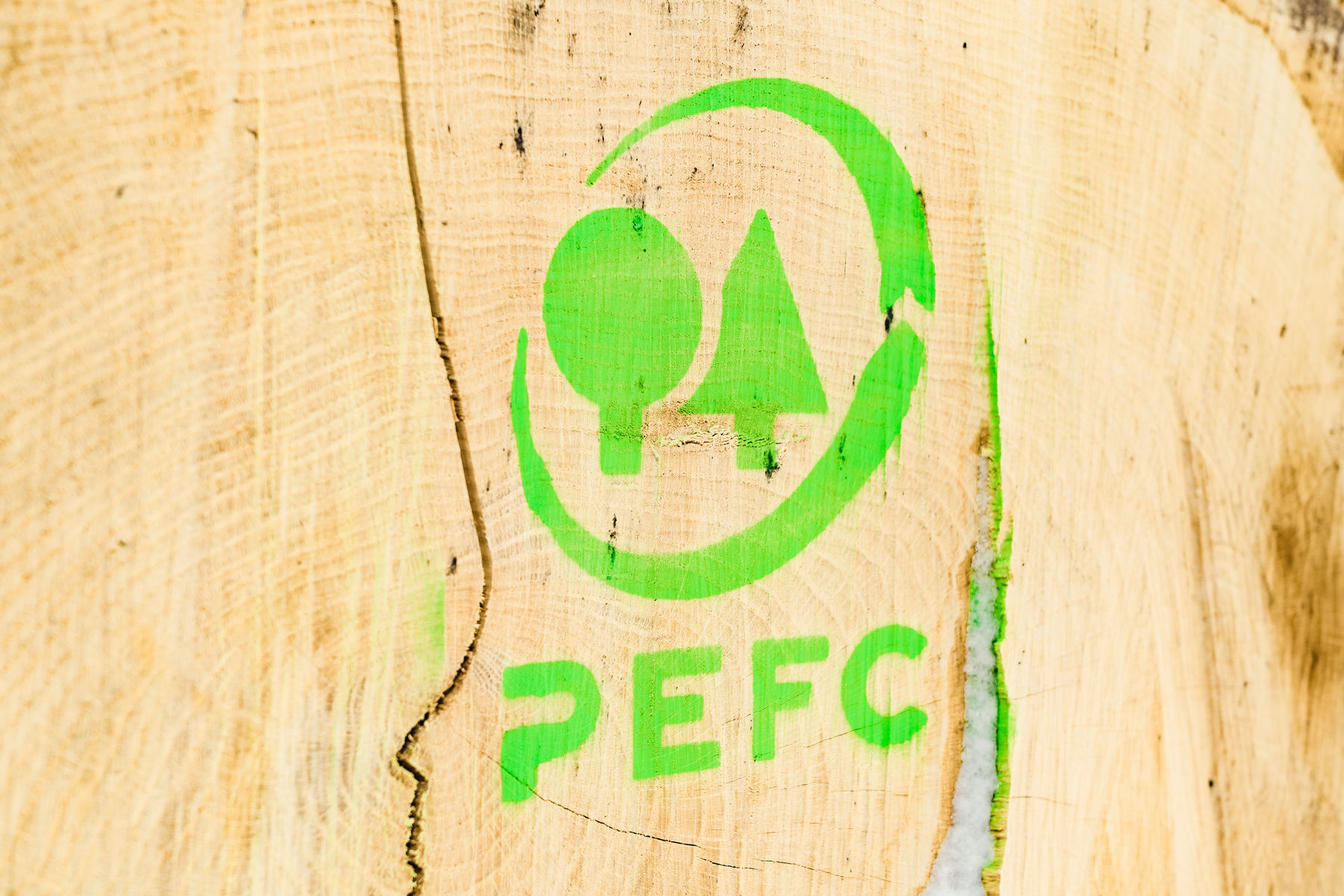 PEFC .jpg © Georg Pomassl/LK Niederösterreich