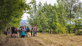 Agroforst in Leonding .jpg © Reinhard Gessl, FiBL